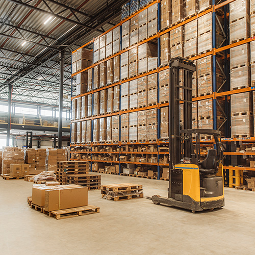 Commercial Pest Control